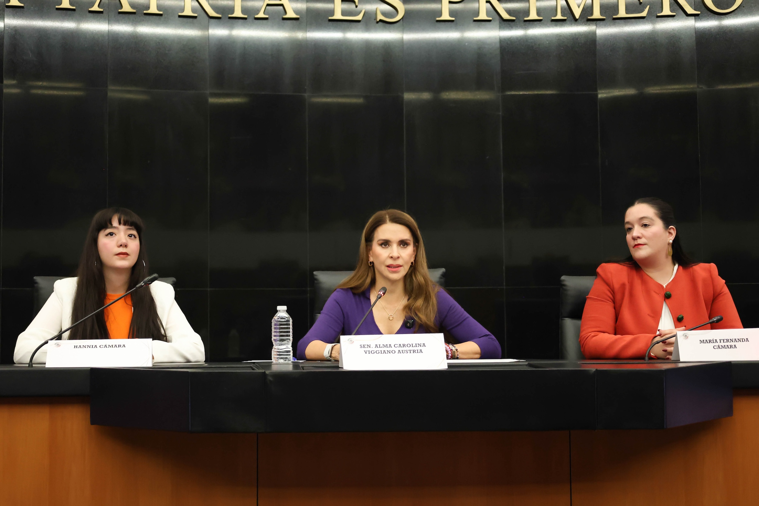 Destaca Carolina Viggiano importancia de reconocer trabajo de organizaciones para resolver demandas sociales