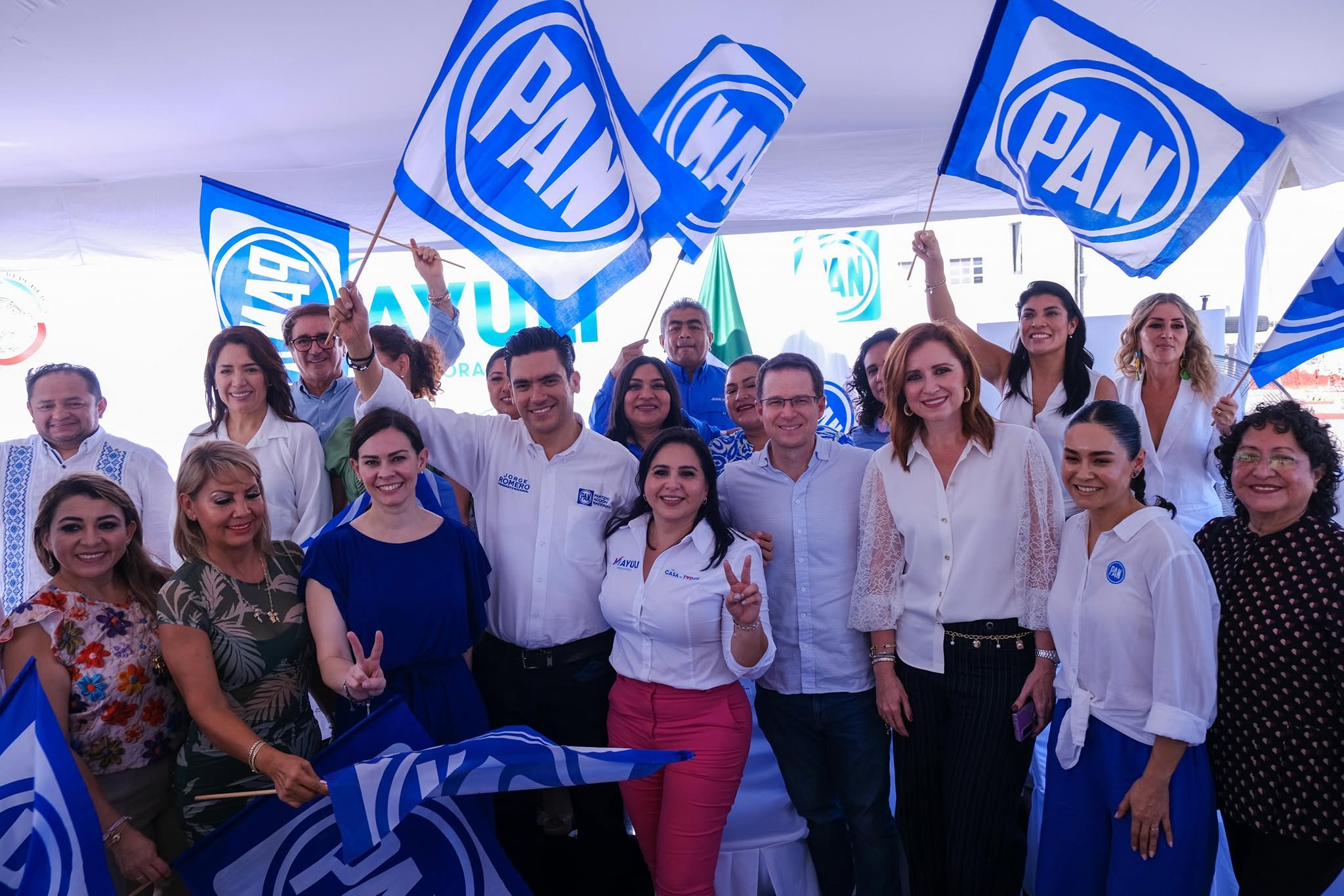 Primer Informe de Actividades
