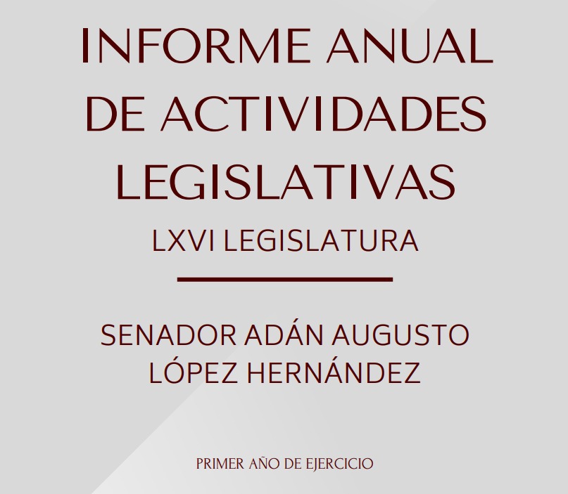 Primer Informe de Actividades