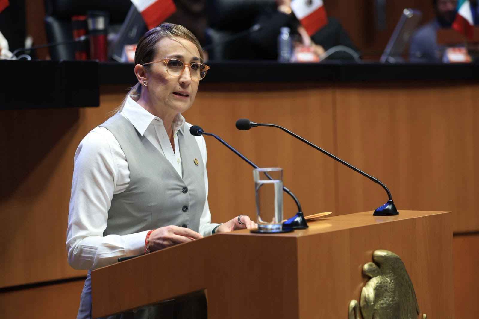 Primer Informe de Actividades