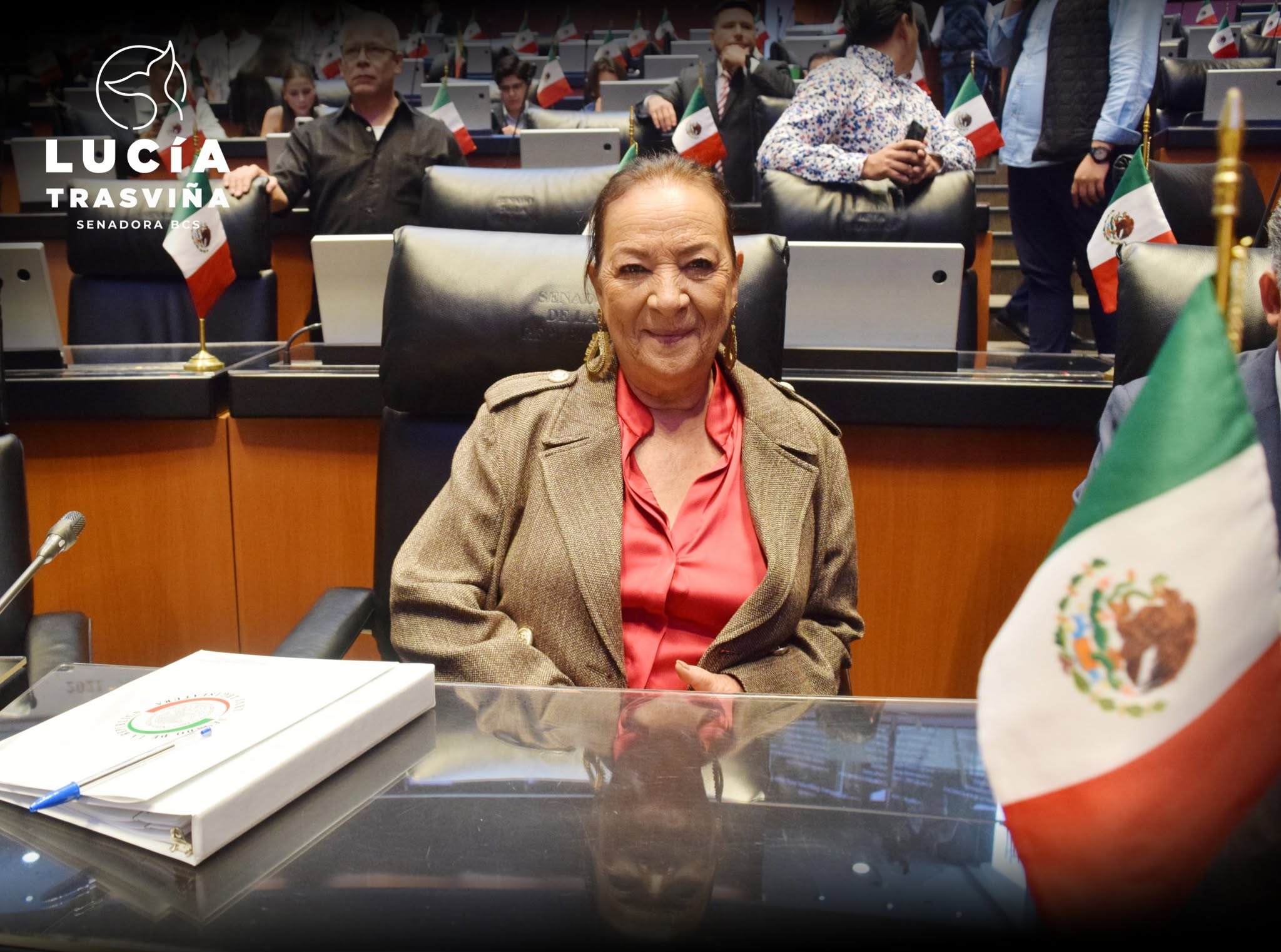 Primer Informe de Actividades
