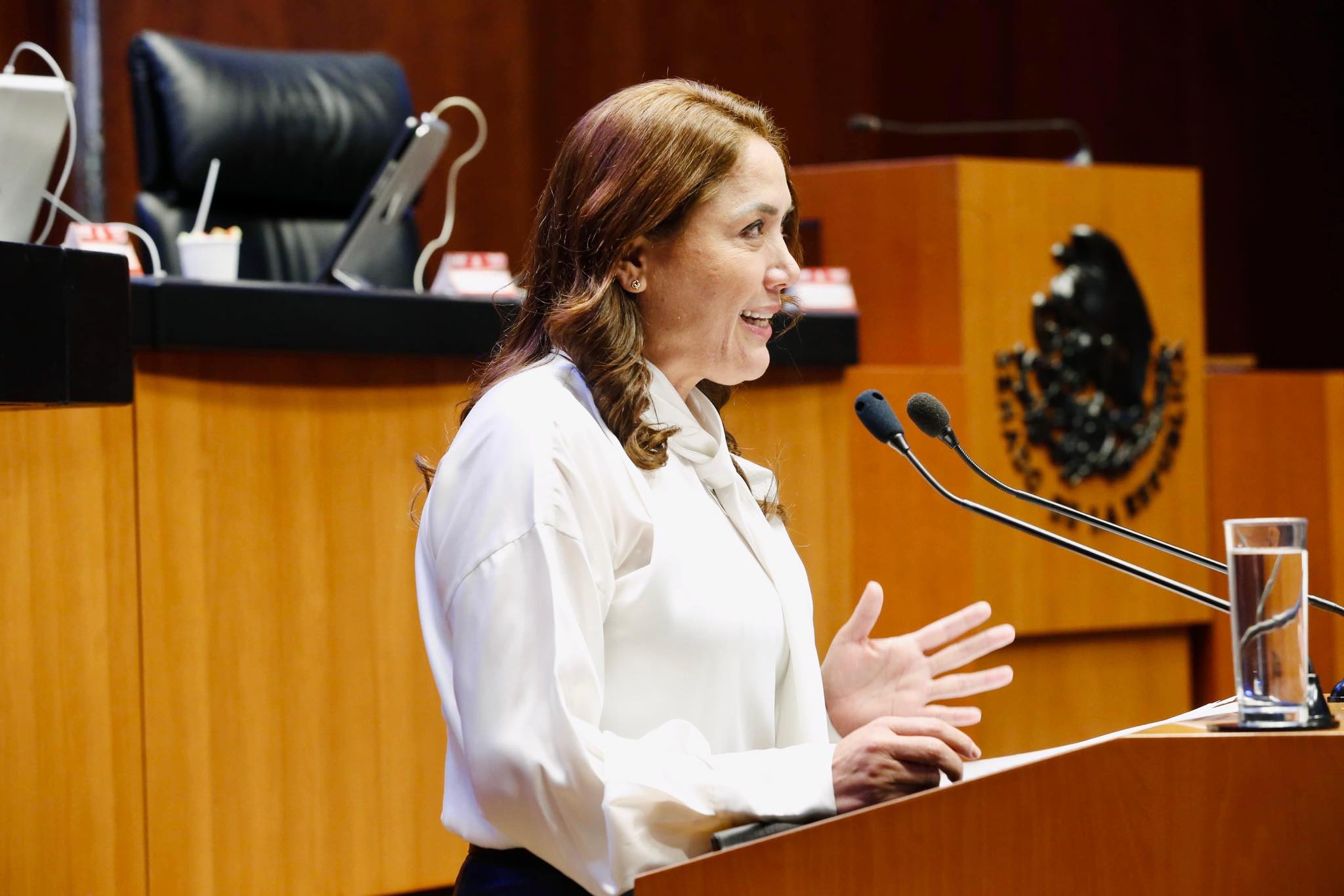 Imagen del servidor público