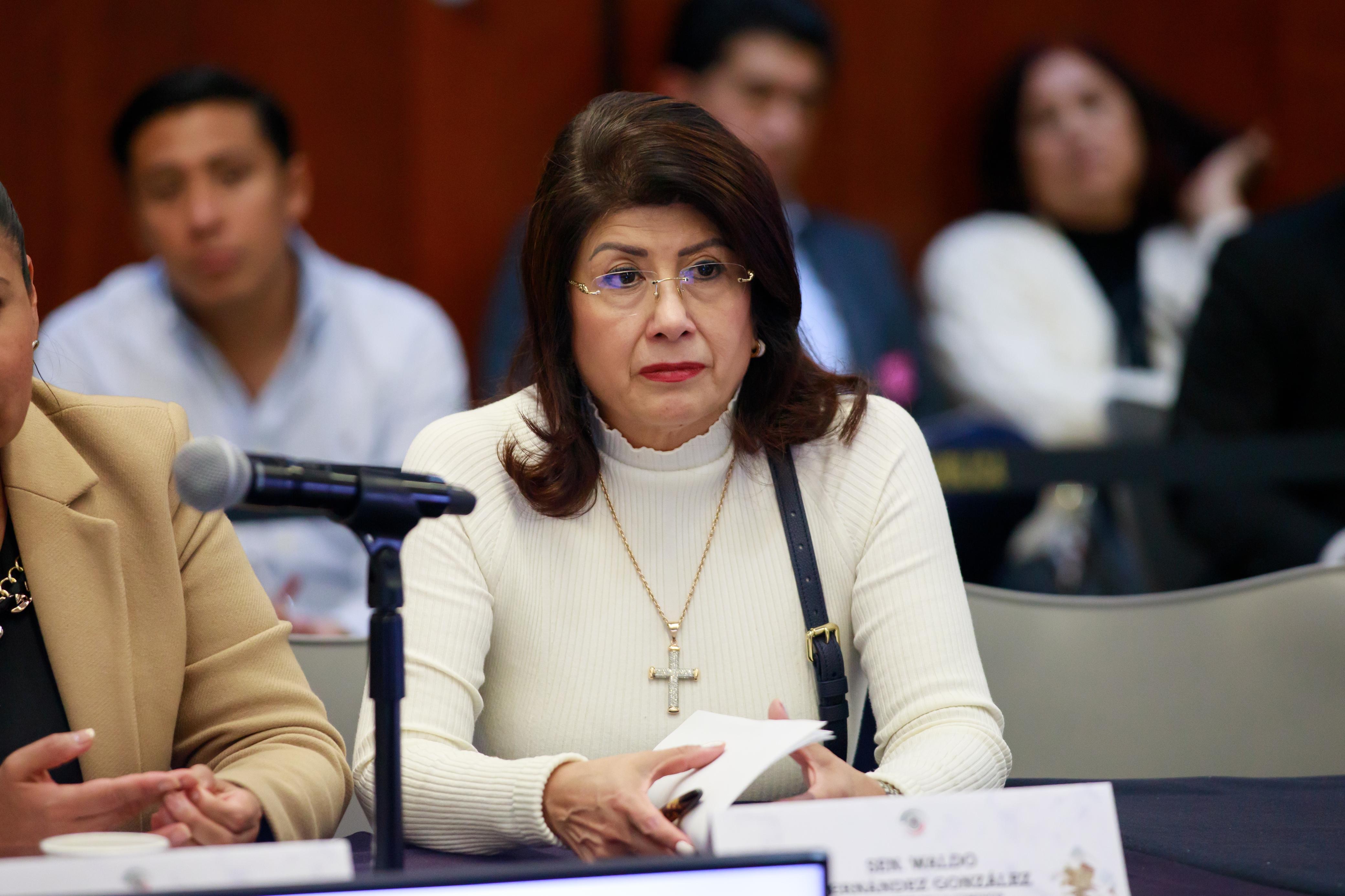 Proyecto de decreto por el que se reforman los artículos 239 y 255 del Reglamento del Senado de la República.
