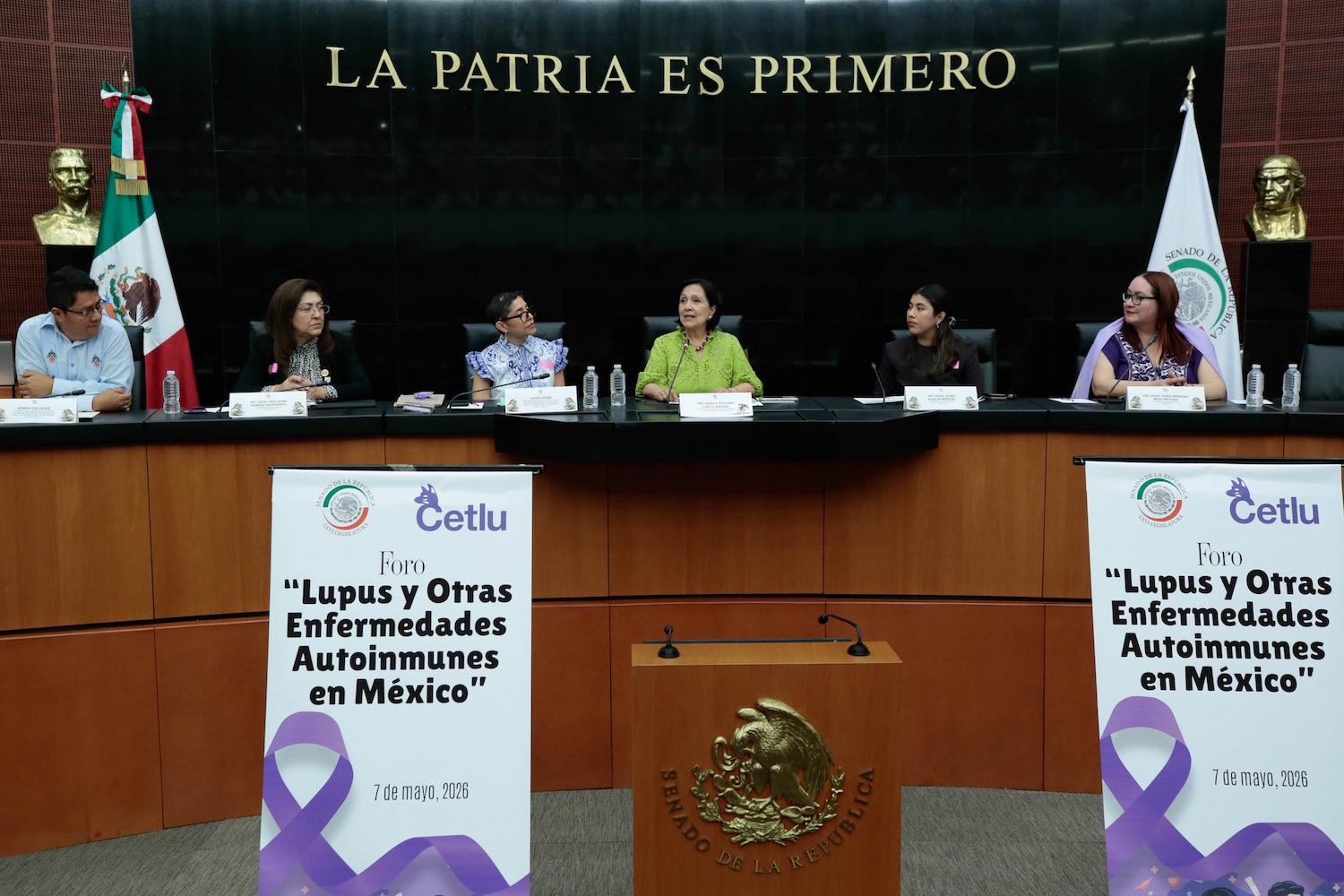 Avanza “Ley Lupus” en México: Amalia García