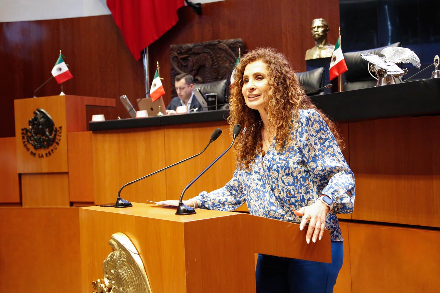 Asuntos legislativos