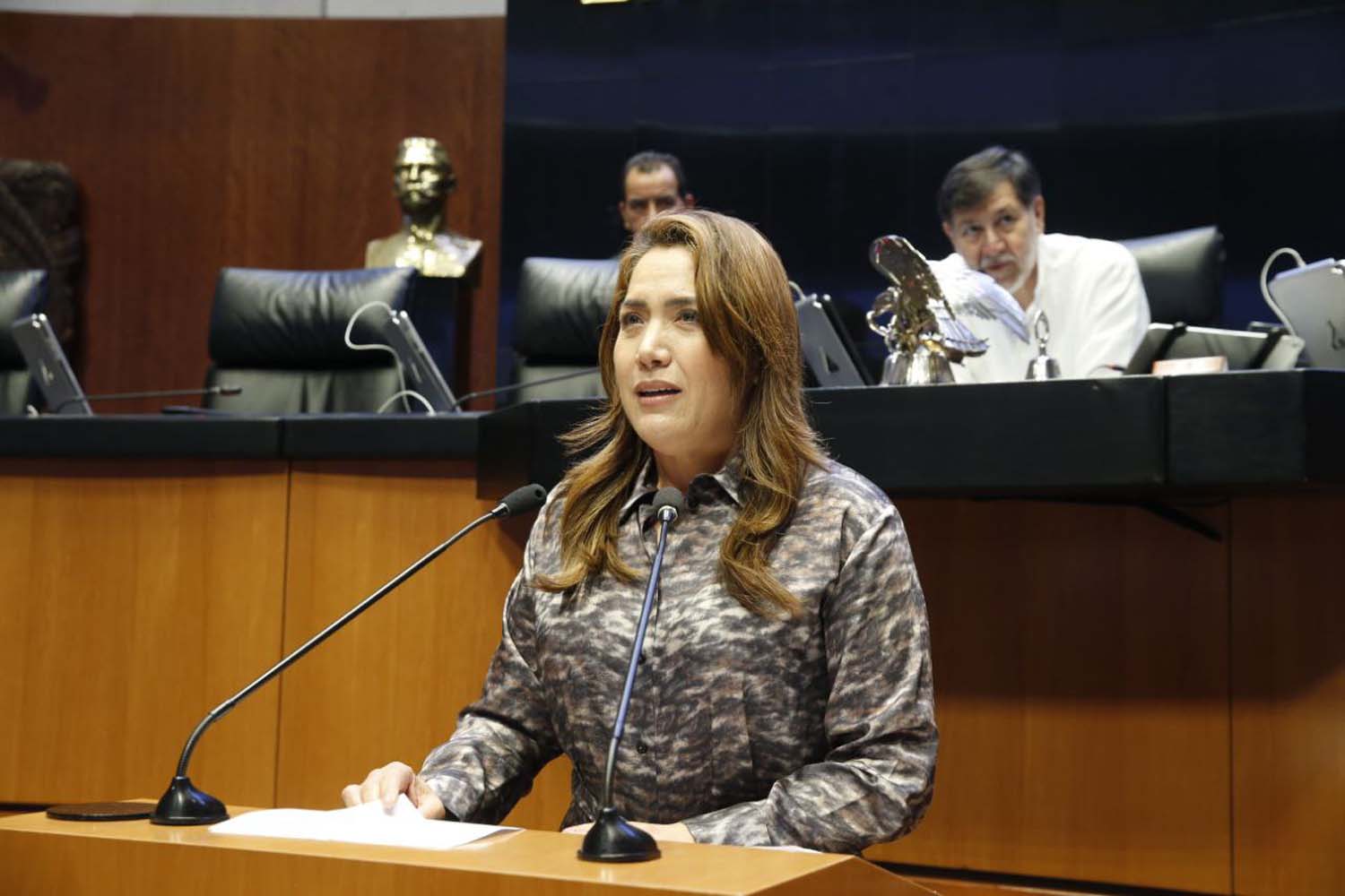 Senadora Ivideliza Reyes Hernández, para hablar a favor de un dictamen que reforma la Ley General de Derechos Lingüísticos de los Pueblos Indígenas