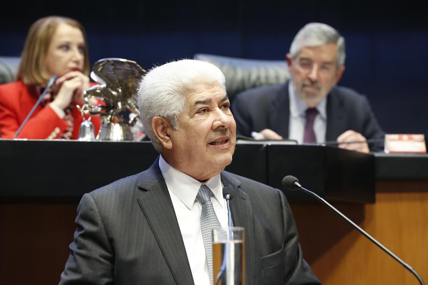 Primer Informe de Actividades