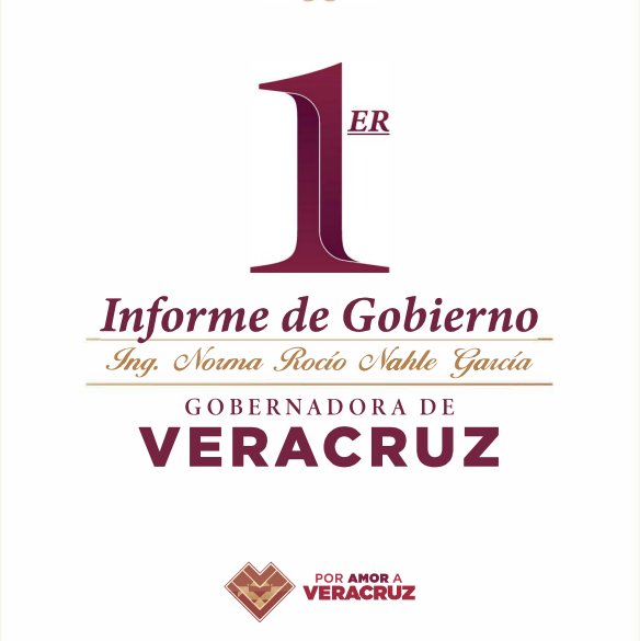 PRIMER INFORME DE GOBIERNO