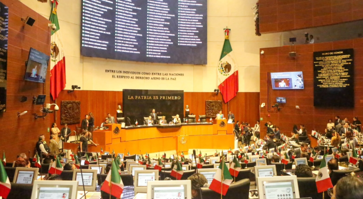Propuesta de Ruth González se suma a la nueva ley general de bienestar animal