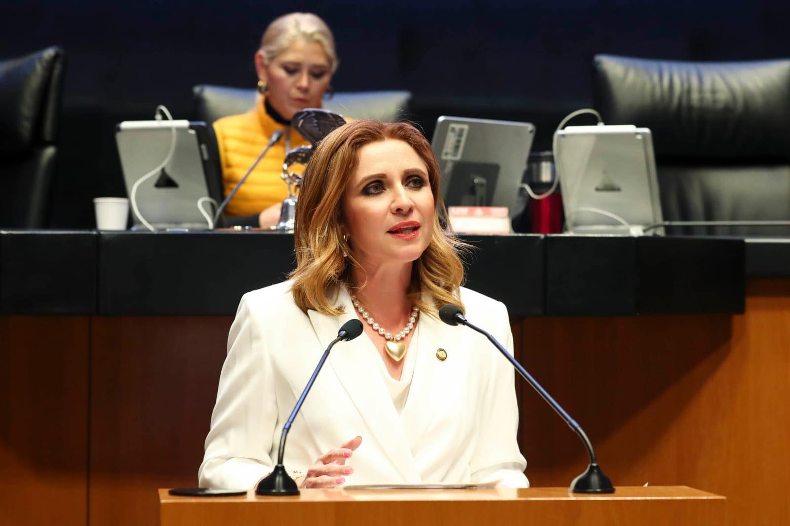 Imagen del servidor público