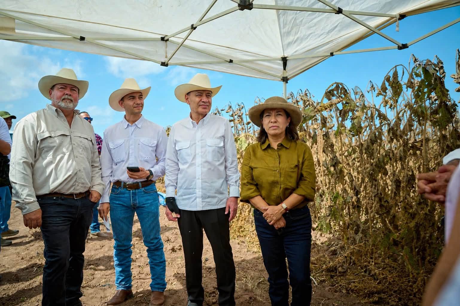 Sonora lidera el crecimiento del campo en el norte del país: Durazo