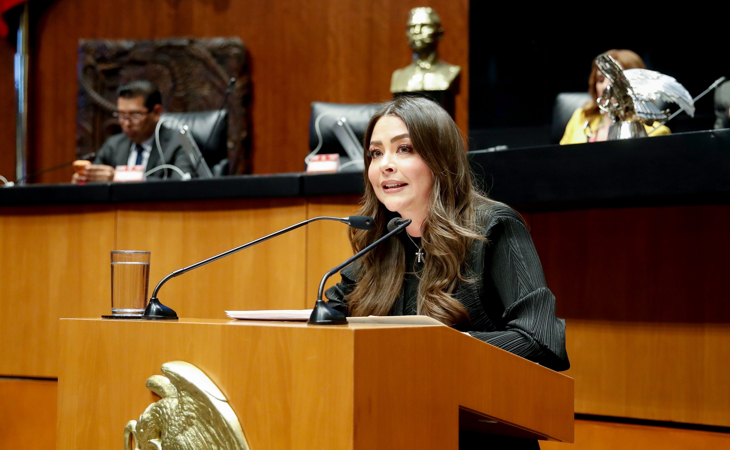Posicionamiento de la senadora Sasil de León Villard respecto al dictamen con proyecto de decreto por el que se reforma el artículo 11 de la Ley General de Acceso de las Mujeres a una Vida Libre de Violencias en Materia de Igualdad Salarial