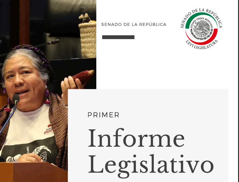 Primer Informe Legislativo