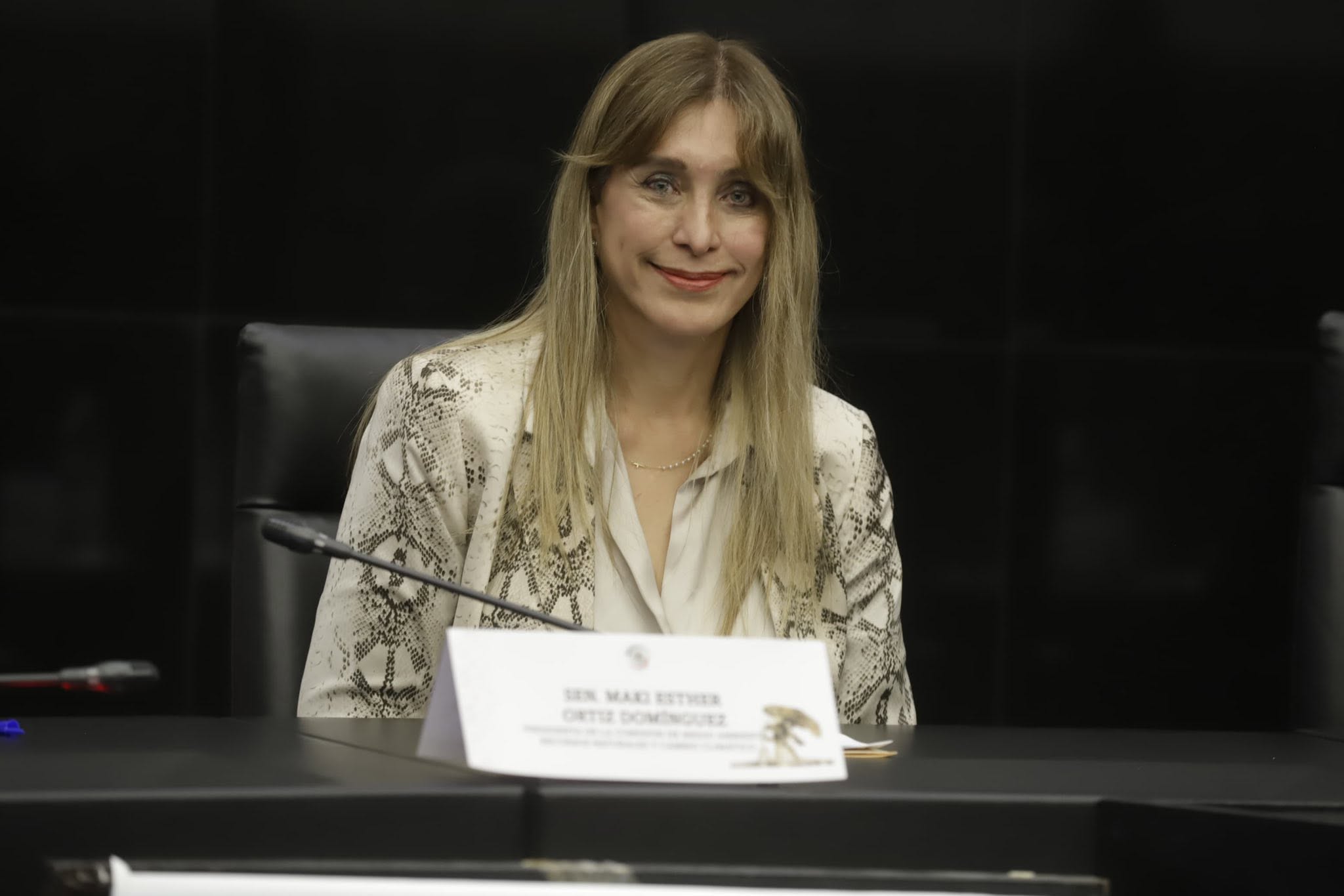 Maki Ortiz destaca papel del trabajo conjunto en la construcción de la salud pública