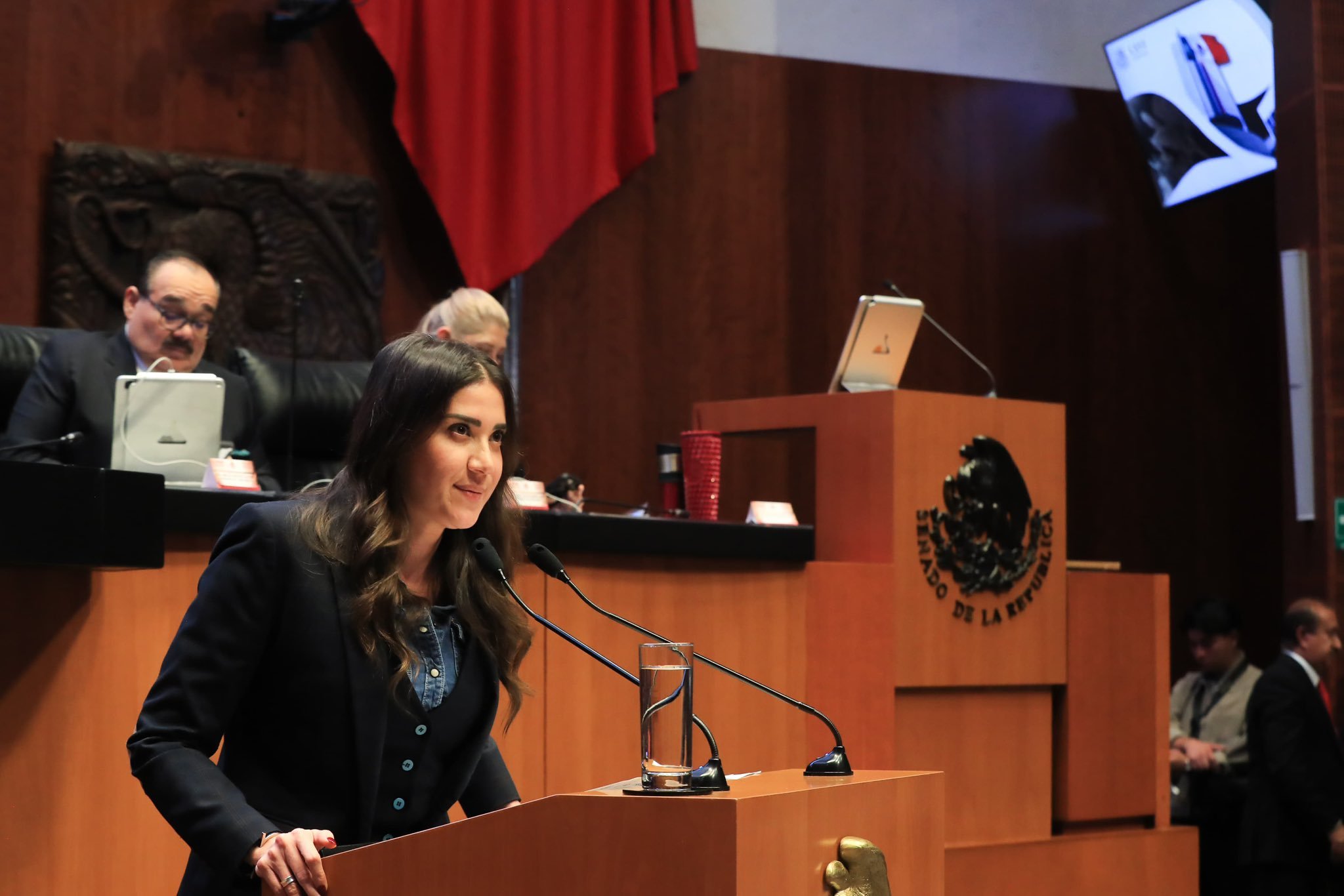 Senadora del PRI presenta iniciativa para activar un plan de emergencia en crisis de inseguridad