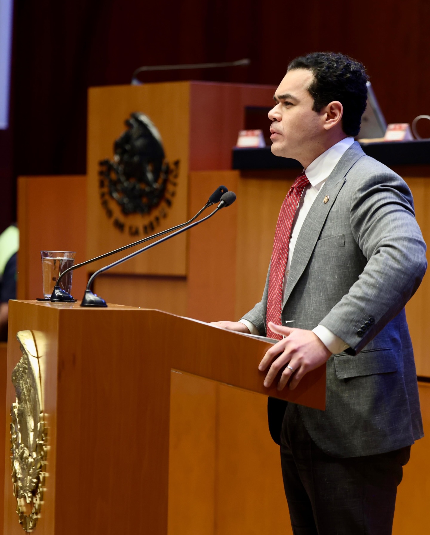 Imagen del servidor público