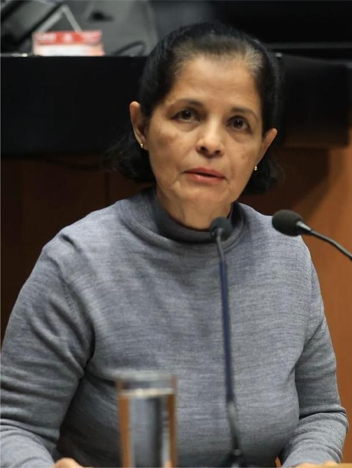 Foto de María Del Rocío Corona Nakamura