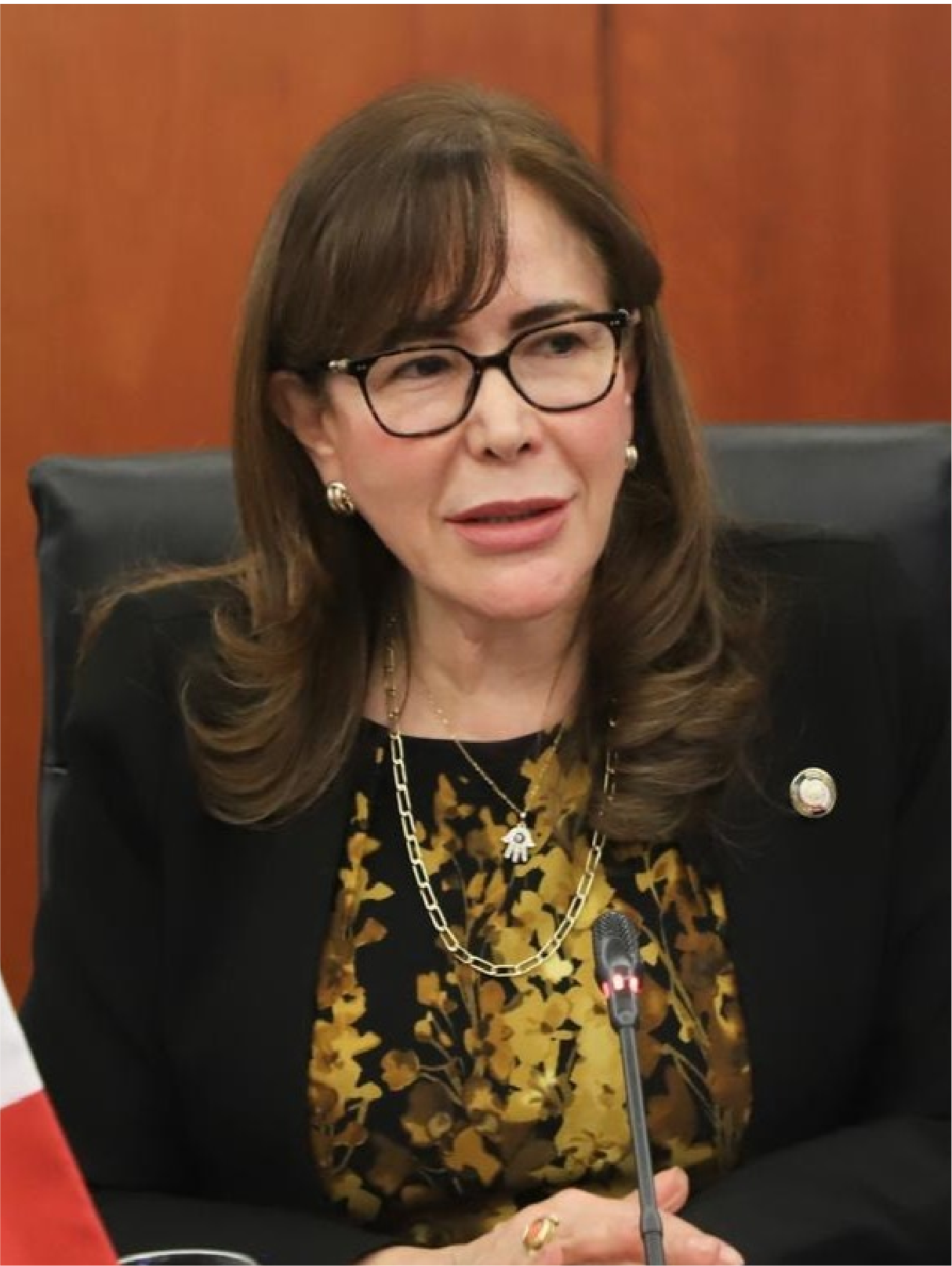 Foto de Yeidckol Polevnsky Gurwitz