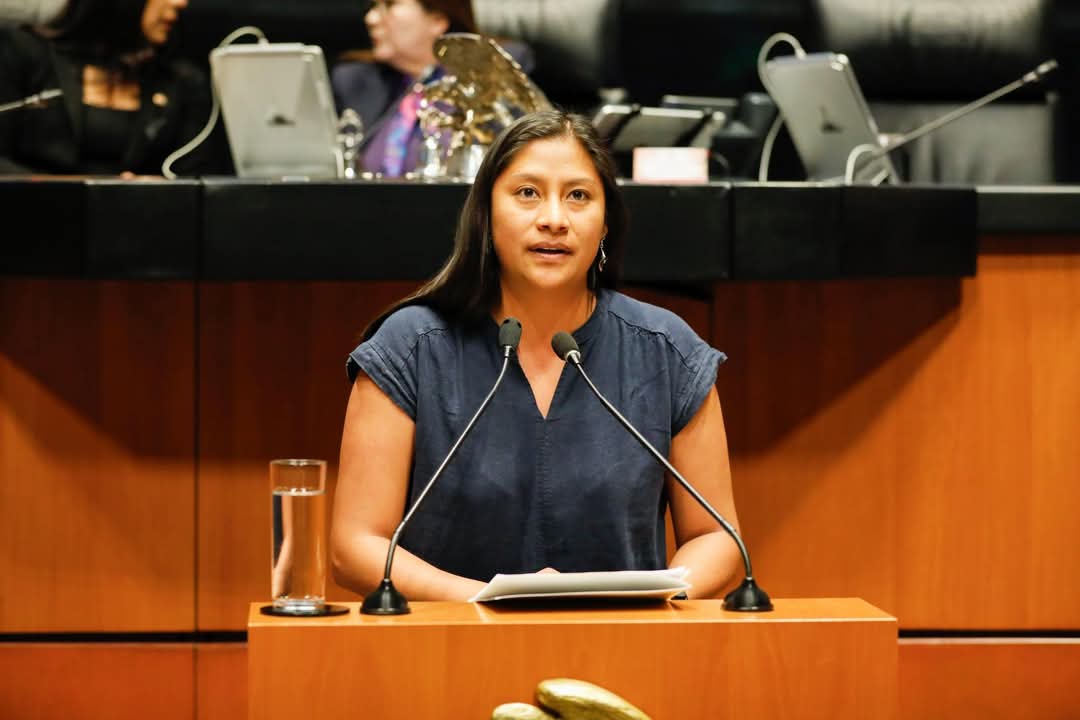 Imagen del servidor público