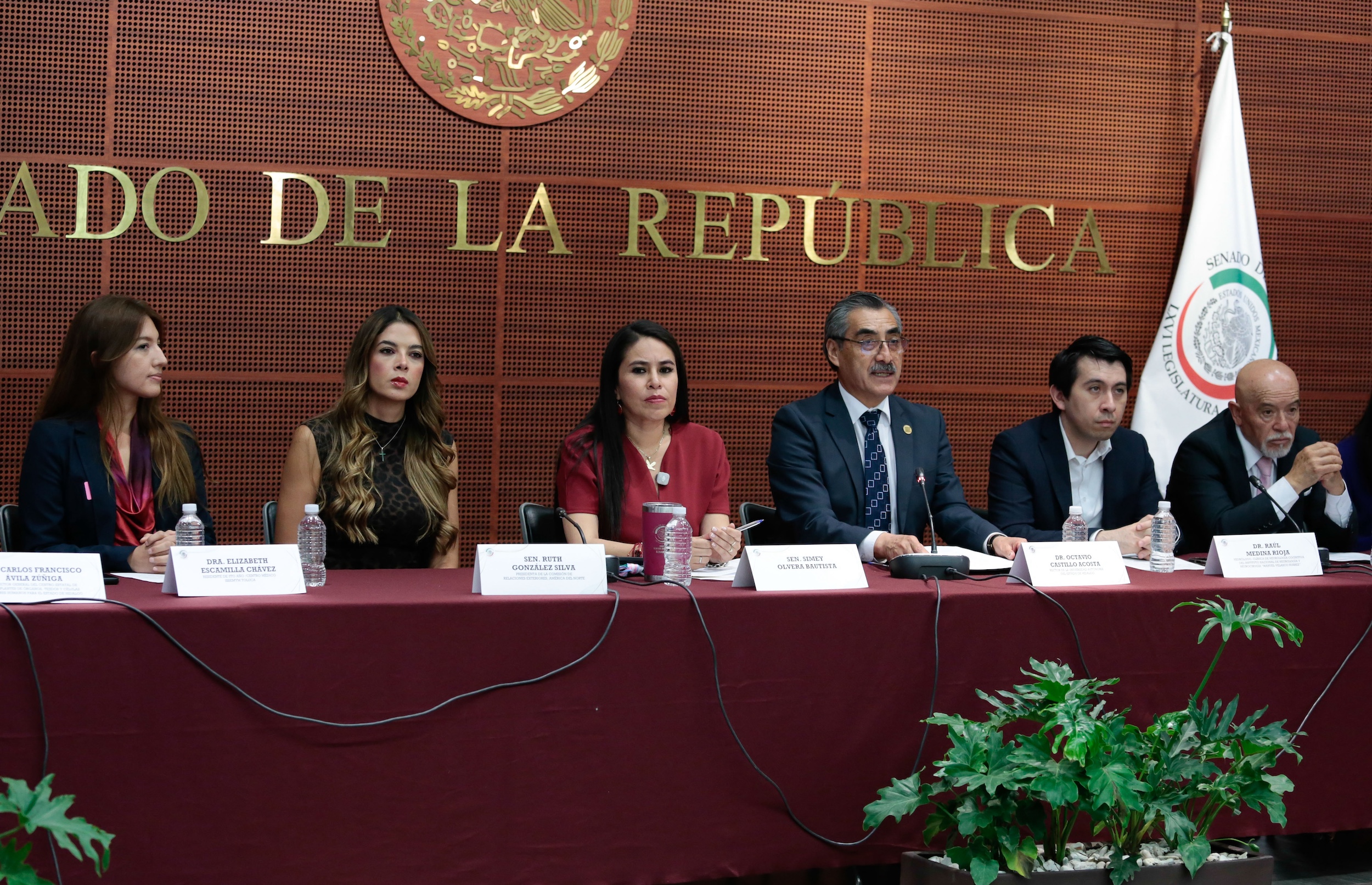 Piden en el Senado legislar en materia de donación de órganos con fines de investigación y educativos