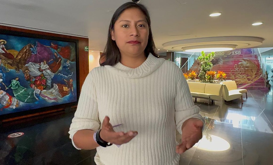 Imagen del servidor público