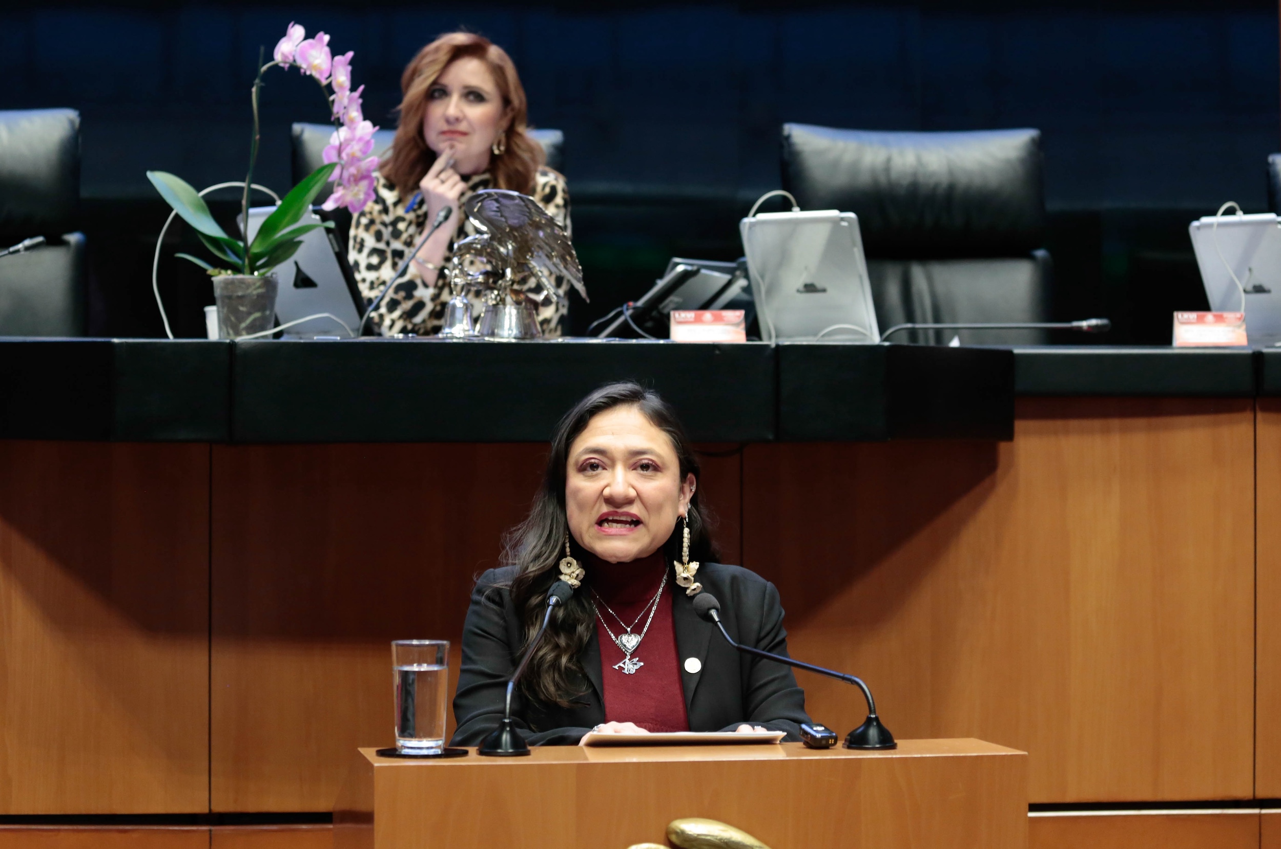 Presentación del proyecto de decreto por el que se reforman y adicionan diversos artículos de la ley orgánica de la Administración Pública Federal, de la ley general de instituciones y procedimientos electorales, de la ley general de partidos políticos, de la ley del Instituto Mexicano de la Juventud, de la ley general de cultura y derechos culturales y de la ley general de educación en materia de fortalecimiento de la democracia participativa, en voz de la senadora Karina Isabel Ruiz Ruiz.