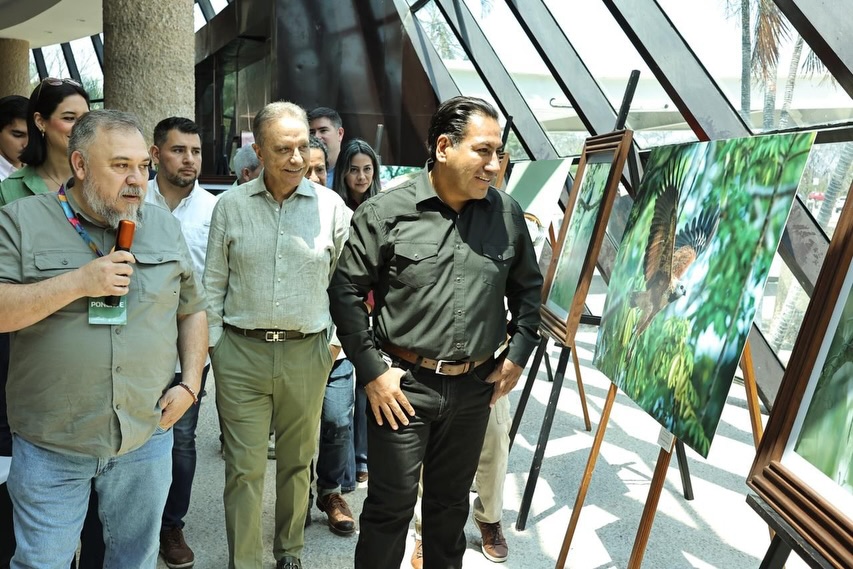 Imagen del servidor público