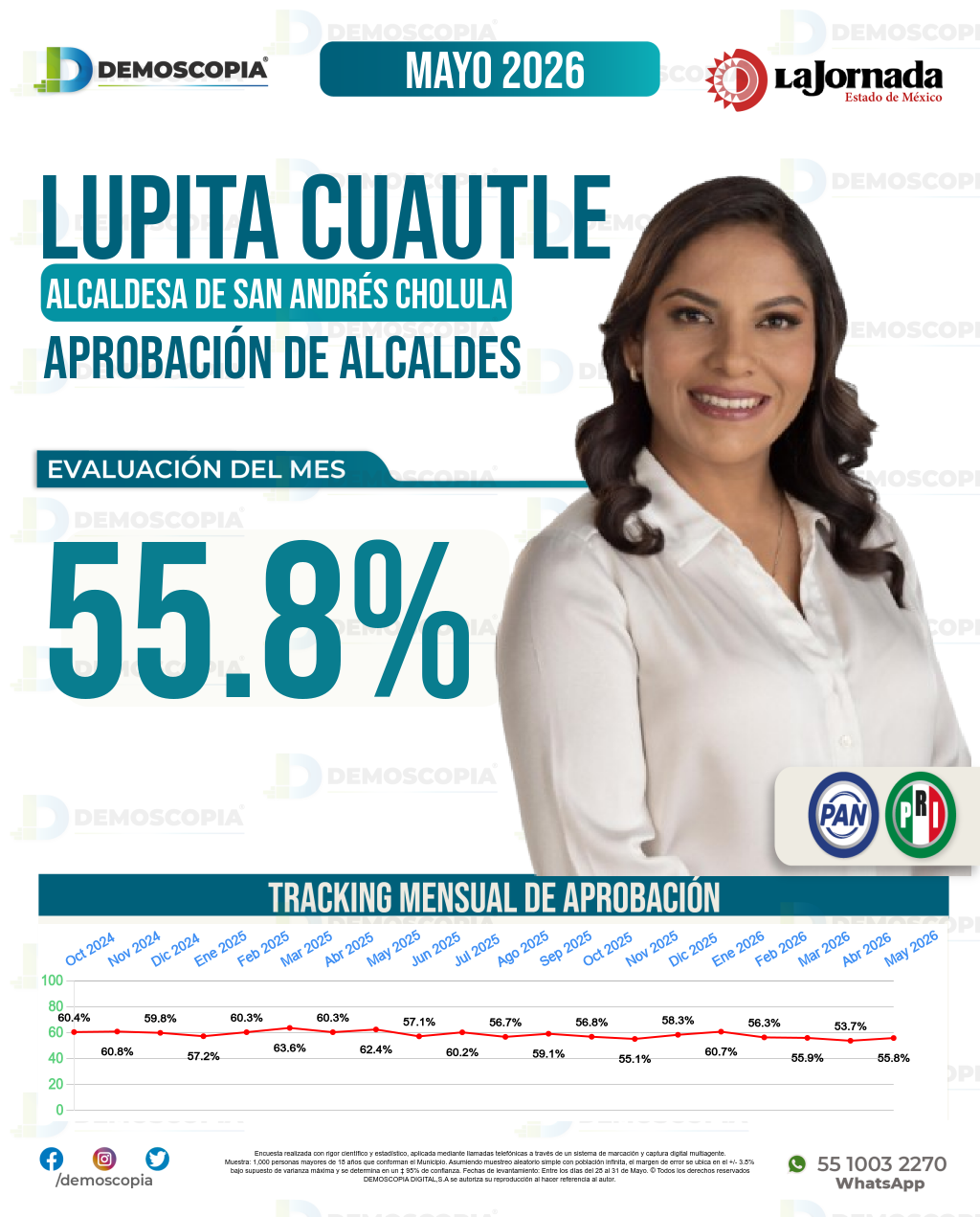 Imagen de portada de Lupita Cuautle